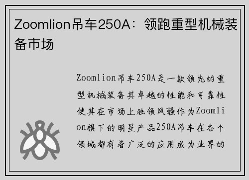 Zoomlion吊车250A：领跑重型机械装备市场