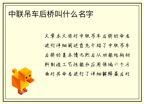 中联吊车后桥叫什么名字