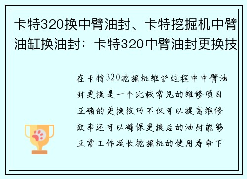 卡特320换中臂油封、卡特挖掘机中臂油缸换油封：卡特320中臂油封更换技巧分享