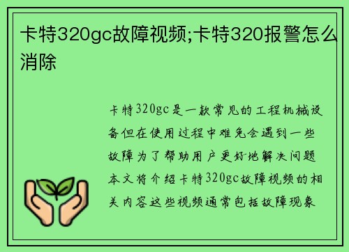 卡特320gc故障视频;卡特320报警怎么消除