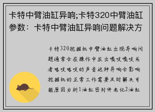 卡特中臂油缸异响;卡特320中臂油缸参数：卡特中臂油缸异响问题解决方案