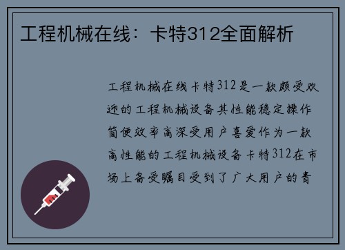 工程机械在线：卡特312全面解析